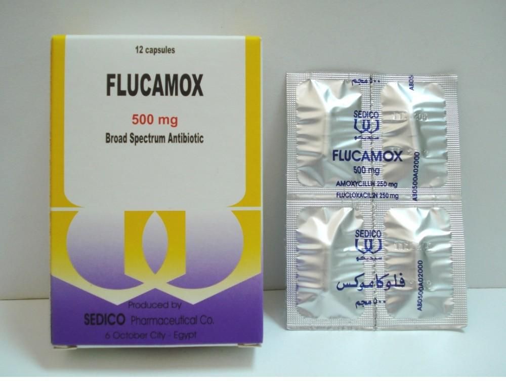 Flucamox capsules 250mg /250mg