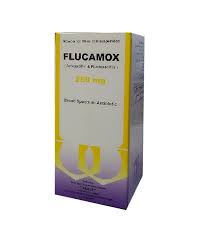 Flucamox 250mg/250mg
