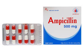 Ampicillin 500mg